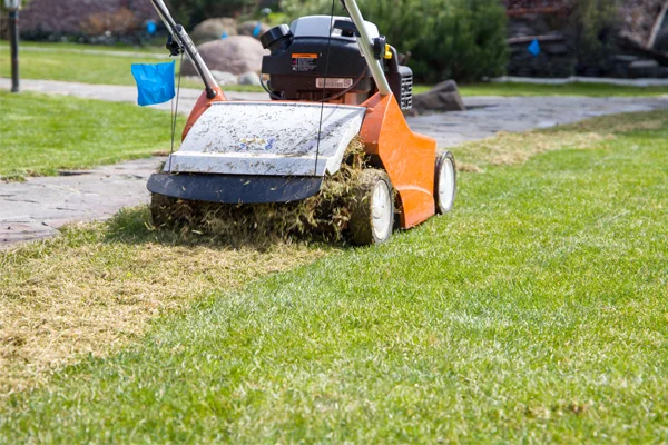 professional lawn aeration overseeding in van alstyne tx