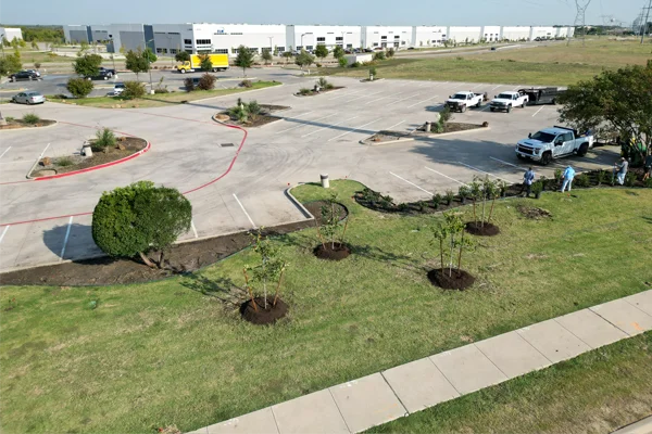 professional lawn fertilization in van alstyne tx