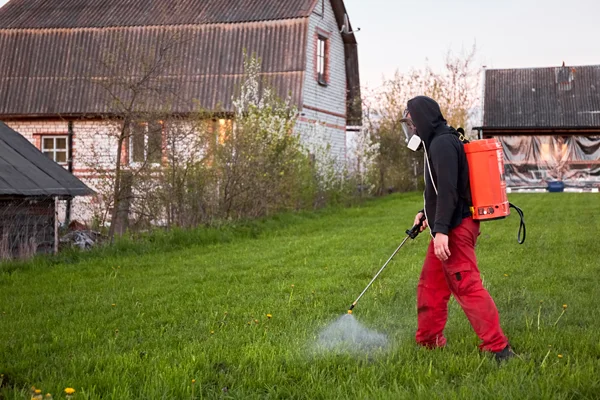 professional lawn weed control in van alstyne tx