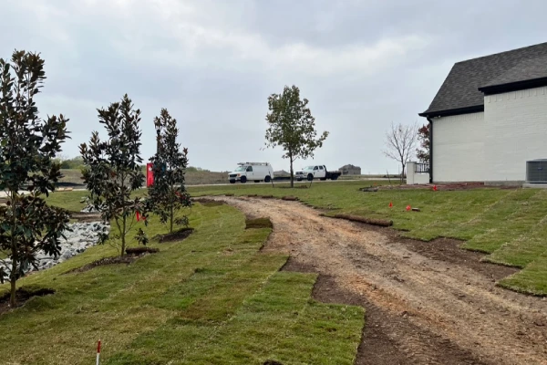 landscaping in prosper tx