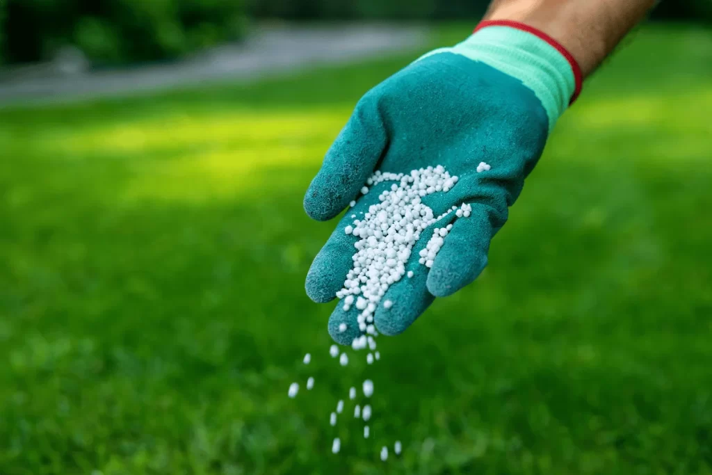 What Is the Best Lawn Fertilization & Treatment Schedule for North Texas Lawns? 1 lawn fertilization and treatment schedule for north texas lawns