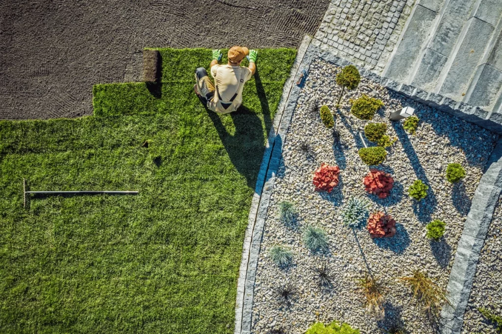 Residential Landscaping in McKinney, TX: What to Expect 2 residential landscaping mckinney tx what to expect