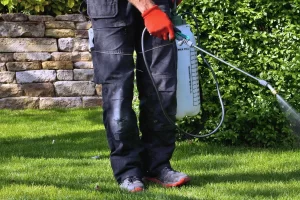 Weed Control Services in Van Alstyne, TX: What Homeowners Need to Know weed control services in van alstyne tx